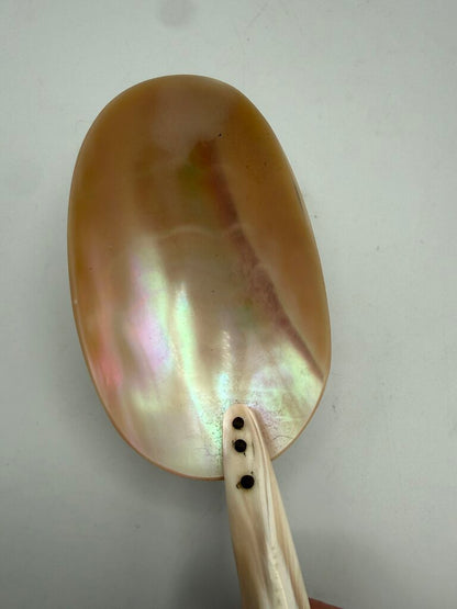 Victorian Welk Sea Shell Caviar Serving Spoon /ro