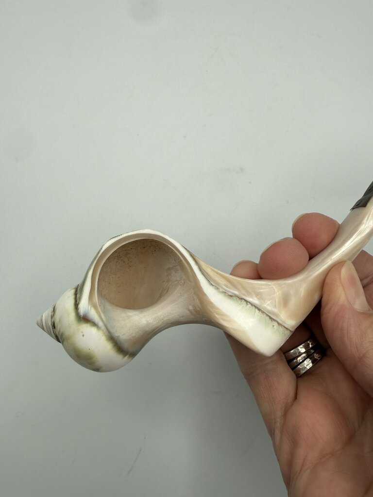 Victorian Welk Sea Shell Caviar Serving Spoon /ro