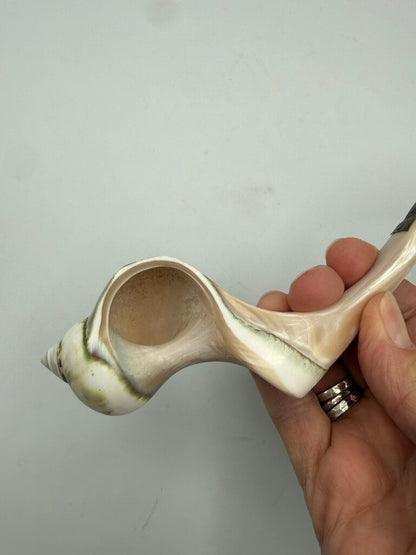 Victorian Welk Sea Shell Caviar Serving Spoon /ro