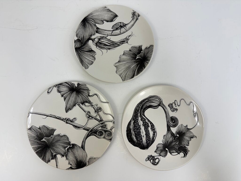 Set of 3 Linda Zindel Design West Elm Gourd/Vine/Bug Plates 8.75” /rb