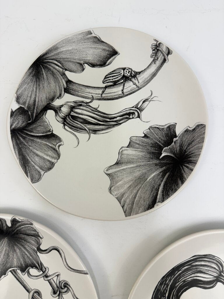 Set of 3 Linda Zindel Design West Elm Gourd/Vine/Bug Plates 8.75” /rb