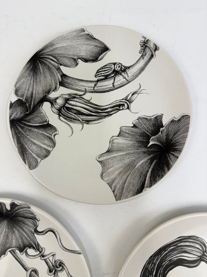 Set of 3 Linda Zindel Design West Elm Gourd/Vine/Bug Plates 8.75” /rb