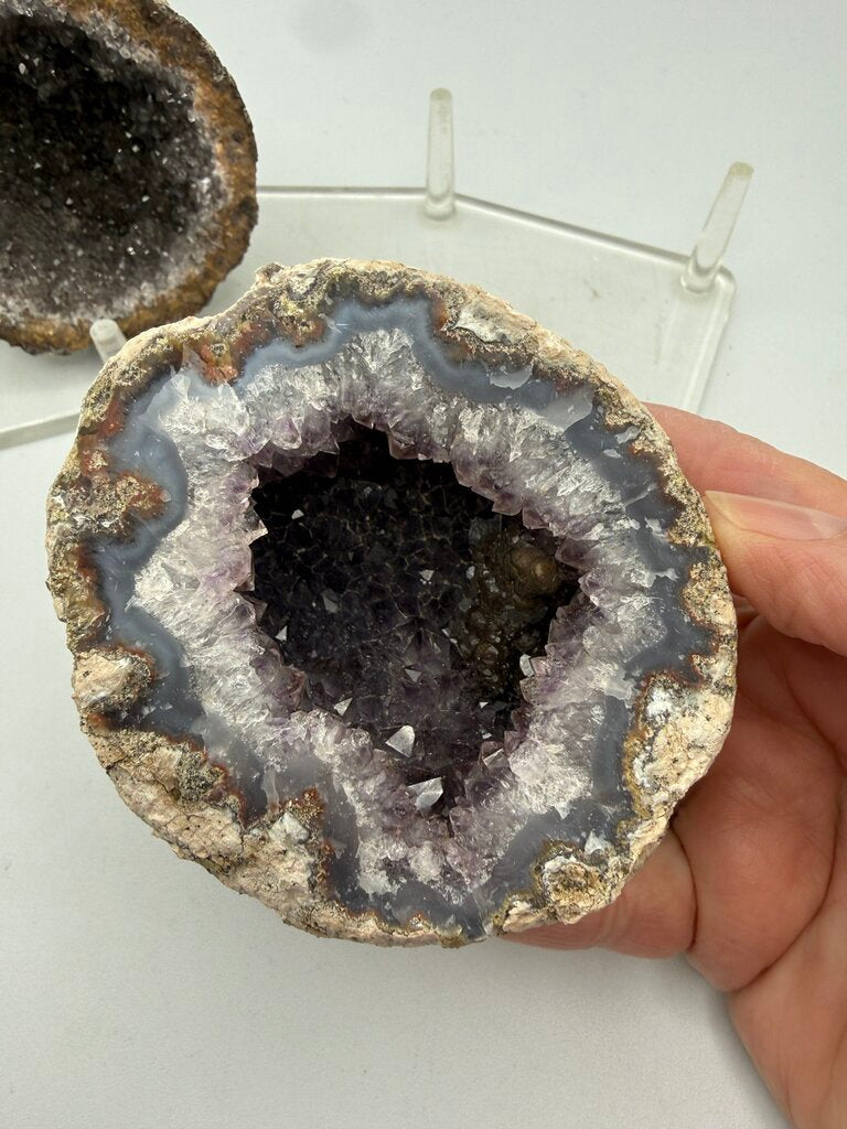Set of 2 Geode’s Amethyst Crystal Centers in Stand /ro