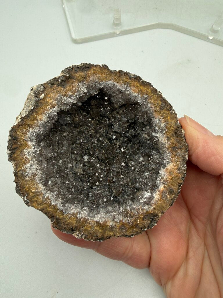 Set of 2 Geode’s Amethyst Crystal Centers in Stand /ro