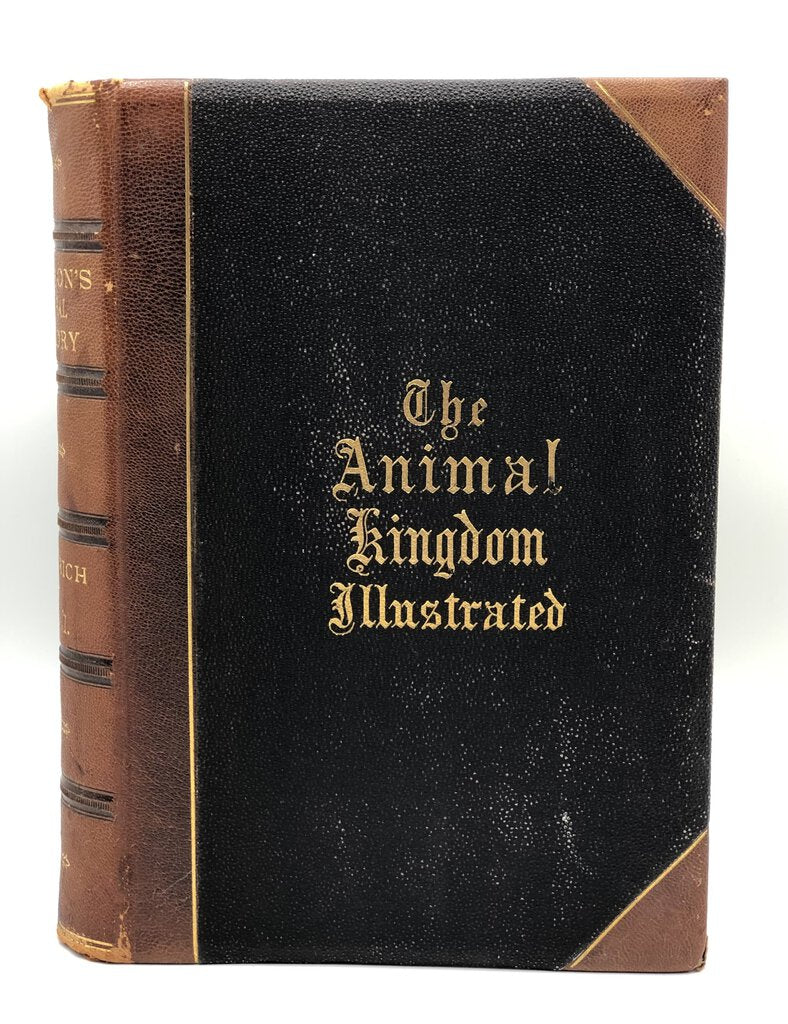 1879 The Animal Kingdom Illustrated/ Johnson’s Natural History Vol 1 Book /b