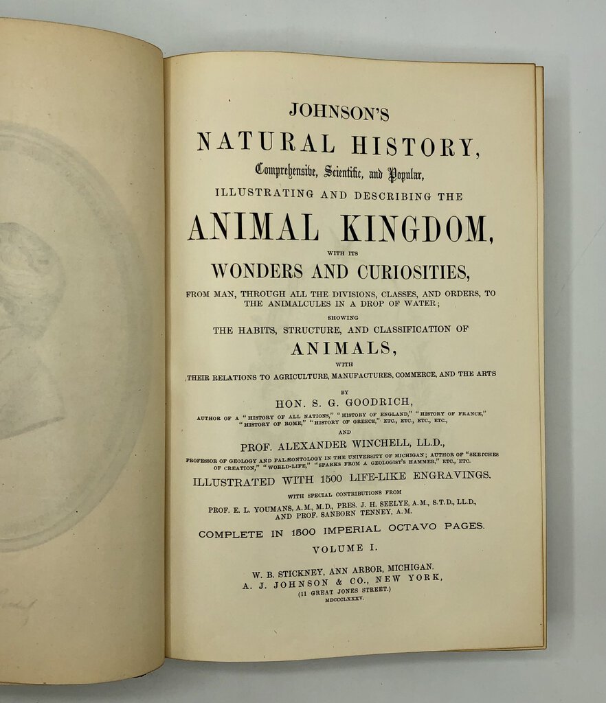 1879 The Animal Kingdom Illustrated/ Johnson’s Natural History Vol 1 Book /b