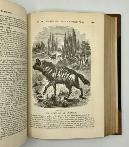 1879 The Animal Kingdom Illustrated/ Johnson’s Natural History Vol 1 Book /b