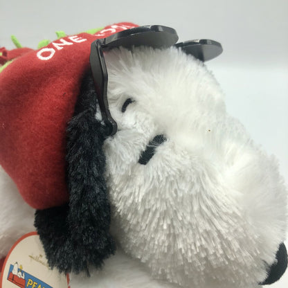 Hallmark Snoopy Joe Cool “One Cool Dude” on Sled Plush Toy /b