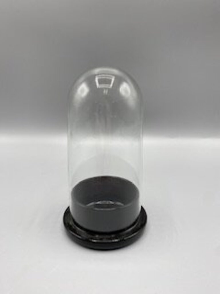 Antique Glass Dome CloChe 5.5” tall with Black Glass Base /ro