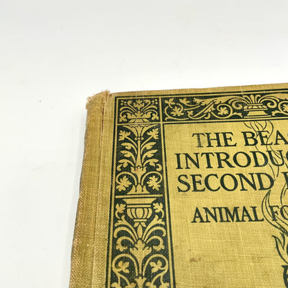 A Beacon Introductory Second Reader Animal Folk Tale by James H. Fassett /ah